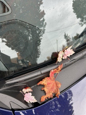 Autumn maple leaves on a rain-covered car windshield